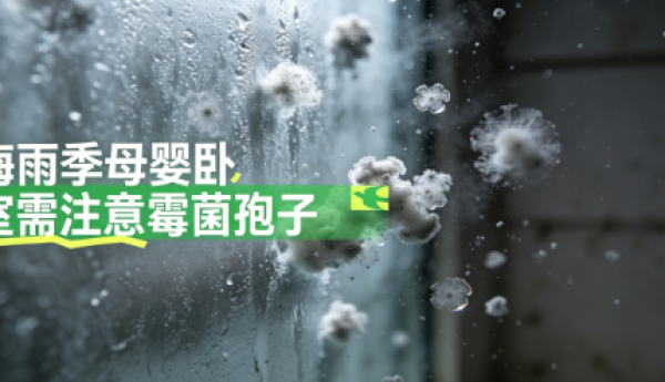 2026 梅雨季母婴卧室消毒空净选购：持有卫健委消毒机资质才是真消杀！