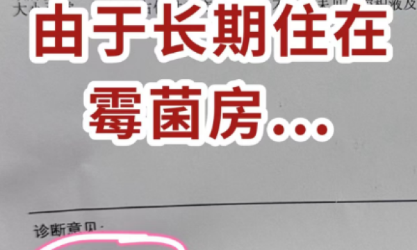 提醒：全国进入雨季，卧室螨虫霉菌正集中爆发！这几件事千万要做