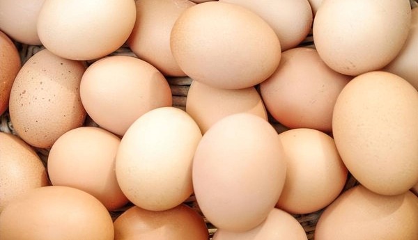 5块钱的鸡蛋和10块钱的鸡蛋有什么区别？有必要买吗？